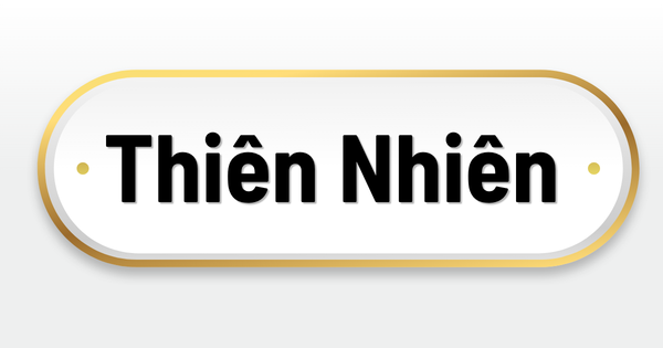 Thiên nhiên